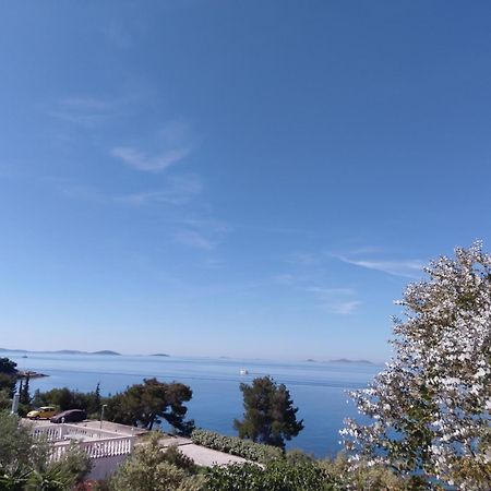 Amazing Villa Galeb In Murter Oda fotoğraf